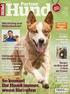 Ausgabe DAs magazin Des vdh Der Akita Club mieser Online-hundehandel Die vdh-jahressieger 2013