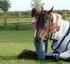 Pferde-OP-Versicherung Pferde-Krankenversicherung