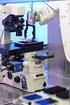 High-Speed-Mikroskopie für die automatisierte Qualitätssicherung von Elektronik-Komponenten