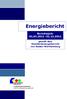 Energiebericht. Berichtsjahr gemäß dem Standardenergiebericht von Baden-Württemberg