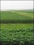 Gras- und Kleegrasanbau 2007 zur Futtergewinnung und Biogaserzeugung