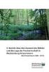 5. Bericht über den Zustand der Wälder und die Lage der Forstwirtschaft in Mecklenburg-Vorpommern (Berichtszeitraum )