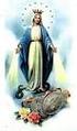 Zázračná ikona. Panny Márie Snežnej. Matky Trikrát. Obdivuhodnej