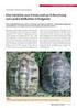 Eine Initiative zum Schutz und zur Erforschung von Landschildkröten in Bulgarien
