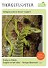 Drachen im Dickicht: Grasgrün und sehr selten - Reisingers Baumwaran ( Seite 4) Das Magazin aus dem Zoo Neuwied Ausgabe 15