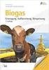 Erzeugung, Aufbereitung und Einspeisung von Biogas
