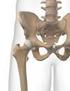 Die gesunde Hüfte. Hüftgelenkverschleiß - Individuelle Hüftgelenkprothese - Kurzschaftprothese - Prothese im höheren Lebensalter