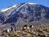 Kilimanjaro und Safari der AT Klassiker
