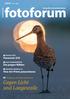 fotoforum Gegen Licht und Langeweile Panasonic G70 2/2016 März April Titelstory: Karsten Mosebach fotografie und präsentation fotoforum.