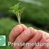 Pflanzenschutz in Zierpflanzen Zulassungssituation von Pflanzenschutzmitteln