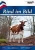 Interpretationshilfe für den Tierverkehr zwischen Österreich und den Nachbarstaaten sowie für Verbringungen innerhalb Österreichs Stand