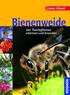 Fungizid- und Insektizideinsatz im Mais Bienenschutz und Entscheidungshilfen im ISIP