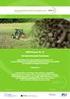 Verbundprojekt AgroForstEnergie Mischkulturen mit Energieholz