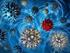 Enzymimmunoassay zum Nachweis von Adenovirus in Stuhlproben