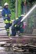 KOSTENSATZUNG. für die Inanspruchnahme der Feuerwehr der Gemeinde Iffezheim