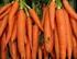 Polyphenol- und Carotinoidgehalt in Äpfeln und Karotten aus ökologischem und konventionellem Anbau
