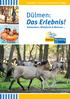 Dülmen: Touristikangebote Radwandern, Wildpferde & Wellness...