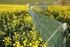 Greening : Was kommt auf die Landwirtschaft zu?
