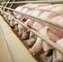 Risikobasierte Überwachung von Antibiotikaresistenz in Fleisch und Fleischerzeugnissen