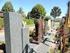 Friedhofssatzung geändert Der Gemeinderat hat in seiner Sitzung vom 14. Mai 2013 die. Landschaftsplegegeld 2013 beantragen
