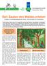 Den Zauber des Waldes erleben Einstieg in die Waldpädagogik für Kinder Mit Hinweisen für Erwachsene
