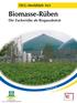 DLG-Merkblatt 363: Biomasse-Rüben - 1 -