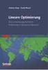 Modelle und Methoden der Linearen Optimierung (Die Thesen zur Vorlesung 1)