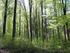 Raubbau und naturnahe Waldbewirtschaftung Ein Vergleich