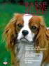 Die Hüftgelenksdysplasie des Hundes 1. Ausgabe Das magazin des vdh