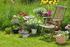 Anwendung von Pflanzenschutzmitteln im Haus- und Kleingartenbereich