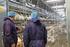 Daten und Fakten zur Geflügelwirtschaft Putenhaltung