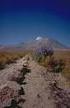 Bergsteigen in Chile und Bolivien Im Reich des Condors
