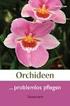 Orchideen.... problemlos pfl egen