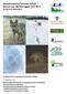 Wolfsmonitoring Sachsen-Anhalt Bericht zum Monitoringjahr 2012/2013