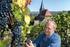 Heilbronner Weingenossenschaft / Winzer vom Weinsberger Tal / Winzer aus der Region