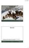 Muffelwild. Muffelwild (Ovis orientalis musimon) -Biologie, Verhalten und Hege
