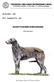 SCHOTTISCHER HIRSCHHUND. (Deerhound)