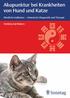 Akupunktur bei Krankheiten von Hund und Katze