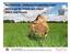 VIER PFOTEN TIERSCHUTZ KONTROLLIERT Gütesiegel für Schafe und Ziegen (Milch und Fleisch)