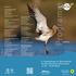 Programm. 6. Zugvogeltage im Nationalpark Niedersächsisches Wattenmeer Langeoog. Veranstalter: