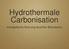 Hydrothermale Carbonisation. energetische Nutzung feuchter Biomassen