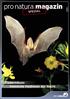 pro natura magazin Spezial Fledermäuse: Heimliche Heldinnen der Nacht