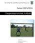 Saison 2015/2016. Tätigkeitsbericht Abt. Fußball