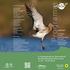 Programm. 6. Zugvogeltage im Nationalpark Niedersächsisches Wattenmeer Ostfriesland