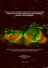 Untersuchungen prädiktiver Eigenschaften des dopaminergen Systems von Drosophila melanogaster mittels genetisch kodierter Calcium Sensoren