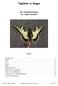 Tagfalter in Bingen. Der Schwalbenschwanz -lat. Papilio machaon- Inhalt