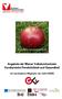 Ein Apfel am Tag erspart den Arzt! Angebote der Wiener Volkshochschulen Kursbereiche Persönlichkeit und Gesundheit