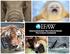 Internationaler Tierschutz-Fonds Tierschutz Lookbook