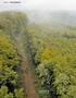 REISE PFÄLZERWALD 144_ BIKE 8/05. Sattes Grün, sandige Wege und Wurzeltrails sind ein Markenzeichen der Pfalz.