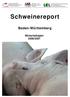 Schweinereport Baden-Württemberg Wirtschaftsjahr 2006/2007